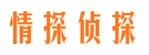 陆川资产调查